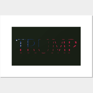 Trump Posters and Art